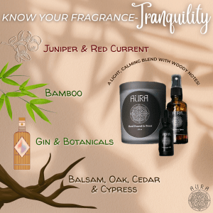 car diffusers essential oil car diffusers car air freshener natural travel-friendly fragrance candle gift sets eco-friendly gifts handmade gifts Houston gifting ideas birthday gift ideas thoughtful gifts self-care gifts natural fragrance gifts sustainable gifting organic candles all-natural fragrances plant-based candles handmade candles soy wax candles chemical-free scents vegan candles eco-friendly candles clean-burning candles non-toxic home scents home fragrance home decor candles aromatherapy candles pet-friendly allergen-free relaxing home scents minimalist home fragrance Houston candle shop handmade candles Houston Houston home decor local fragrance brand Houston Texas-made candles support small business Houston